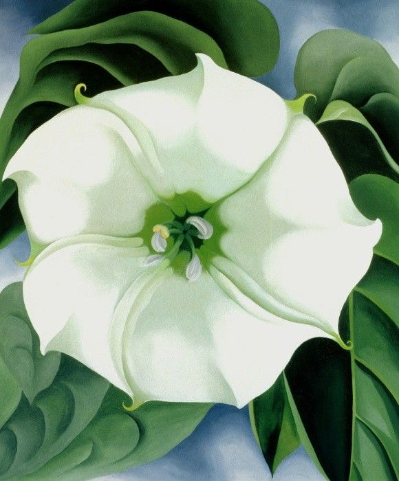 Georgia O'Keeffe Jimson Weed 1932